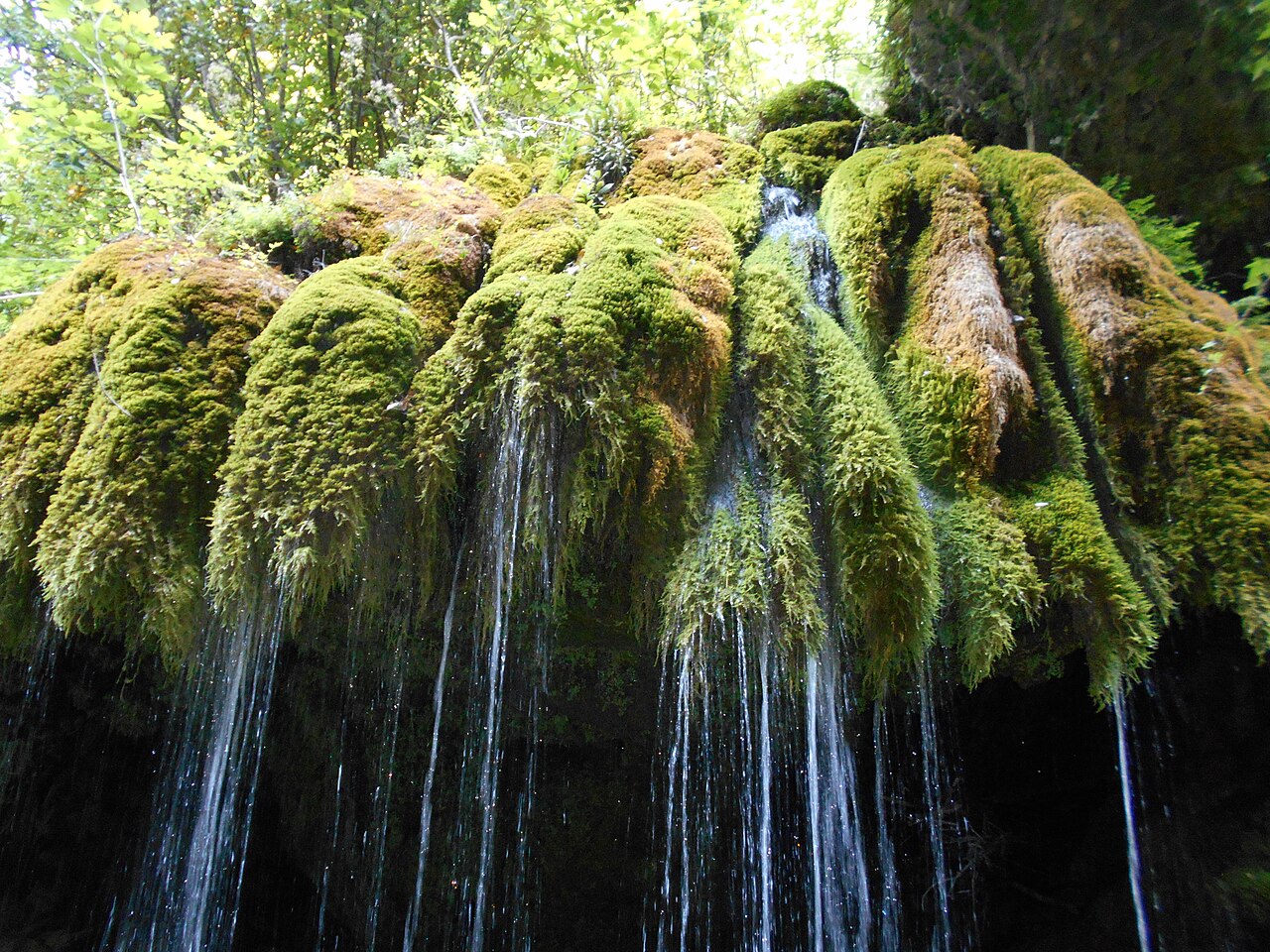 Cascate Capelli di Venere
