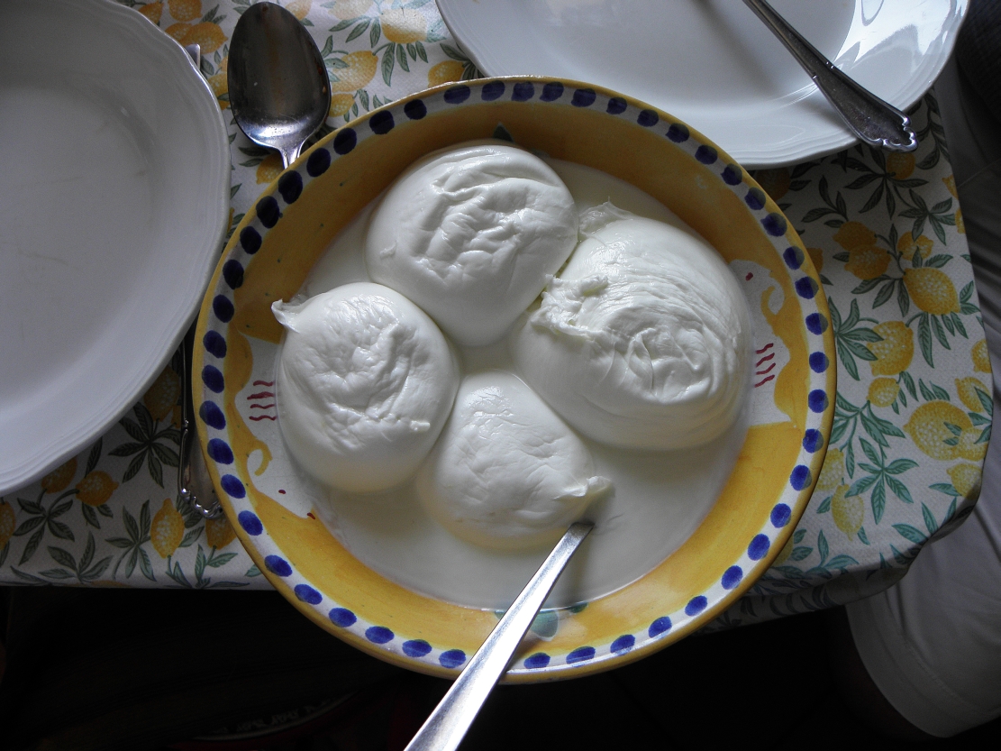 Mozzarella di bufala campana