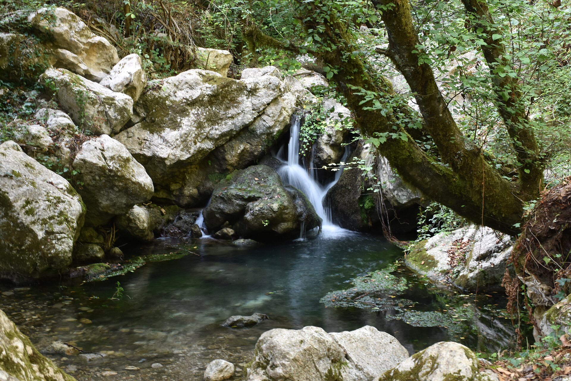 Piscine naturali